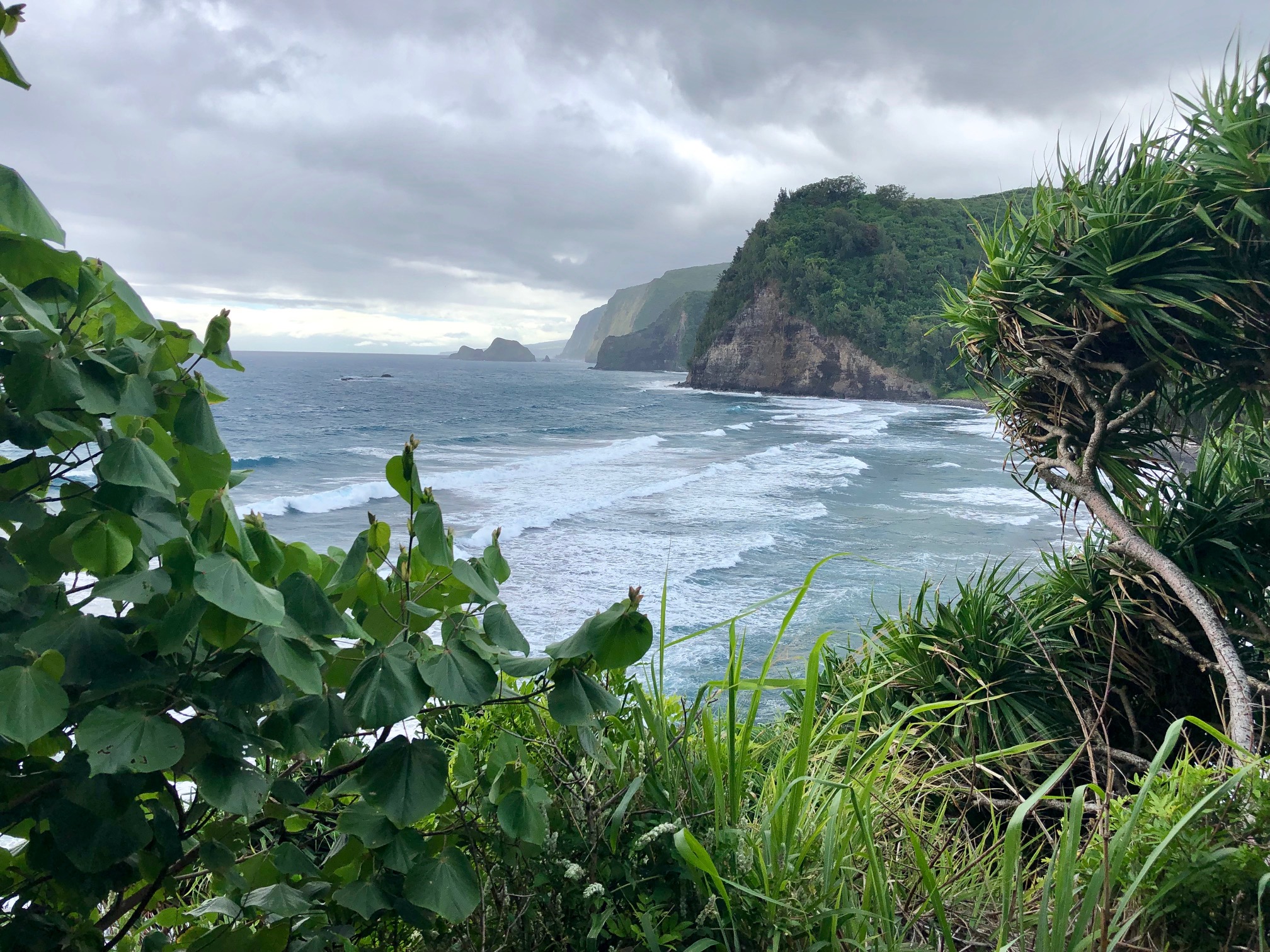 North-hawaii.JPG