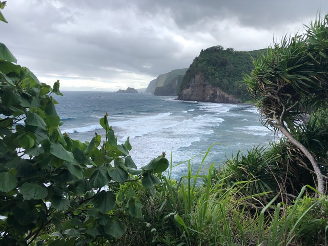 Black sand beaches are pretty okay